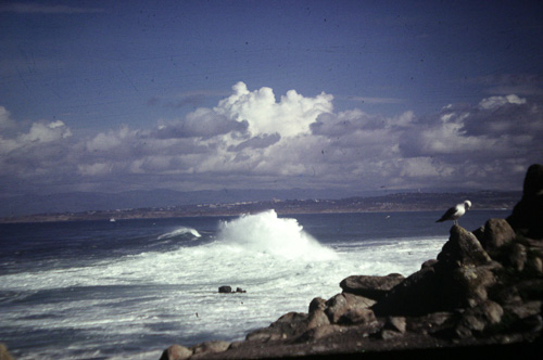 -Calif-Shoreline.jpg