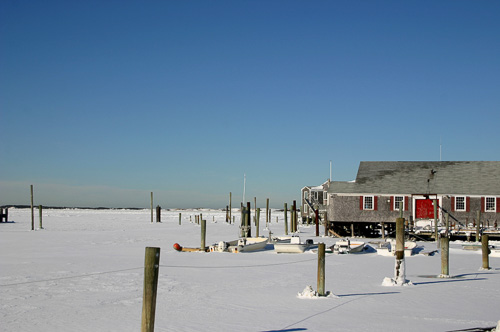 Frozen-Barnstable-Harbor.jpg