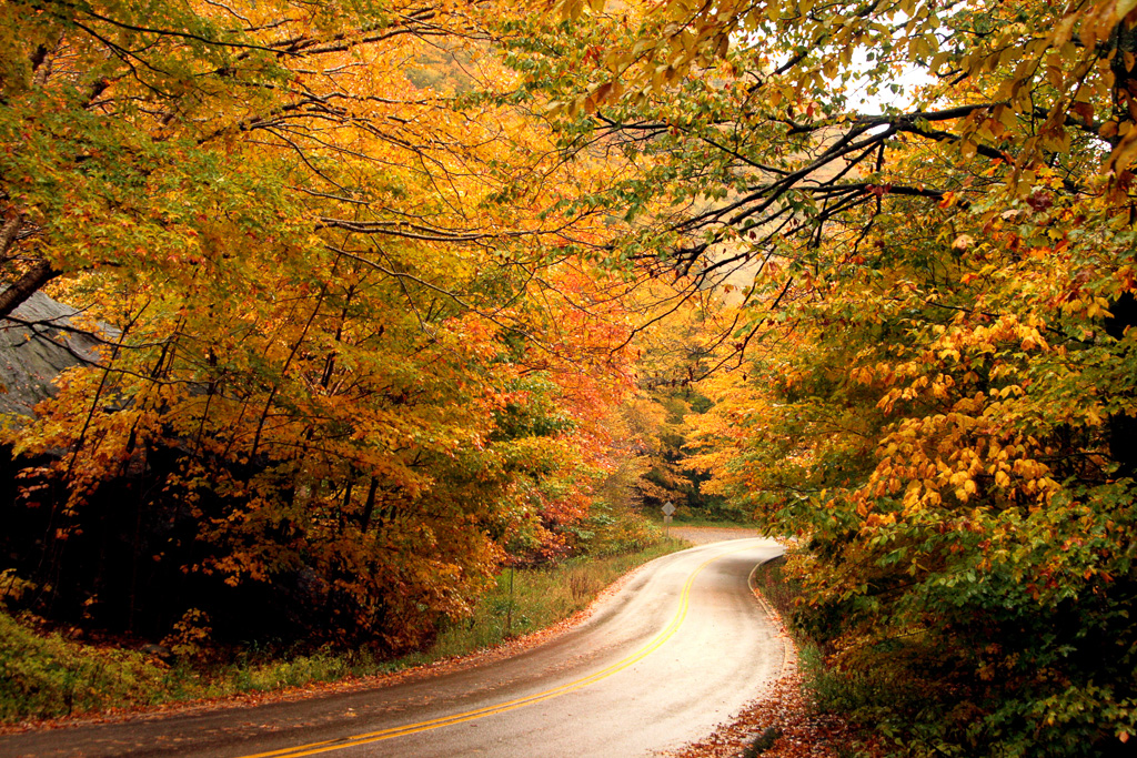 Colorful-Vt-Road.jpg