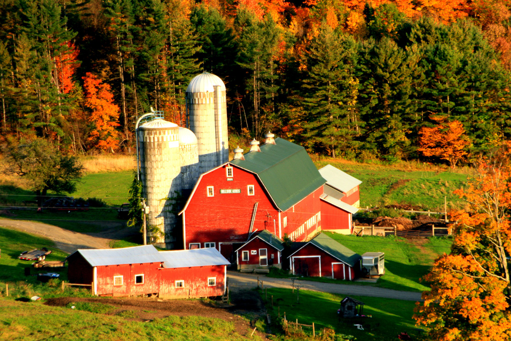 Hillside-Acres-Farm.jpg