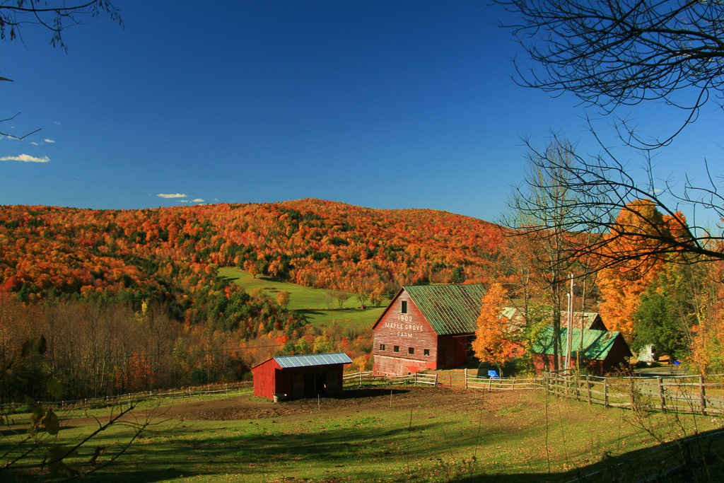 Maple-Groe-Farm-In-Vermont.jpg