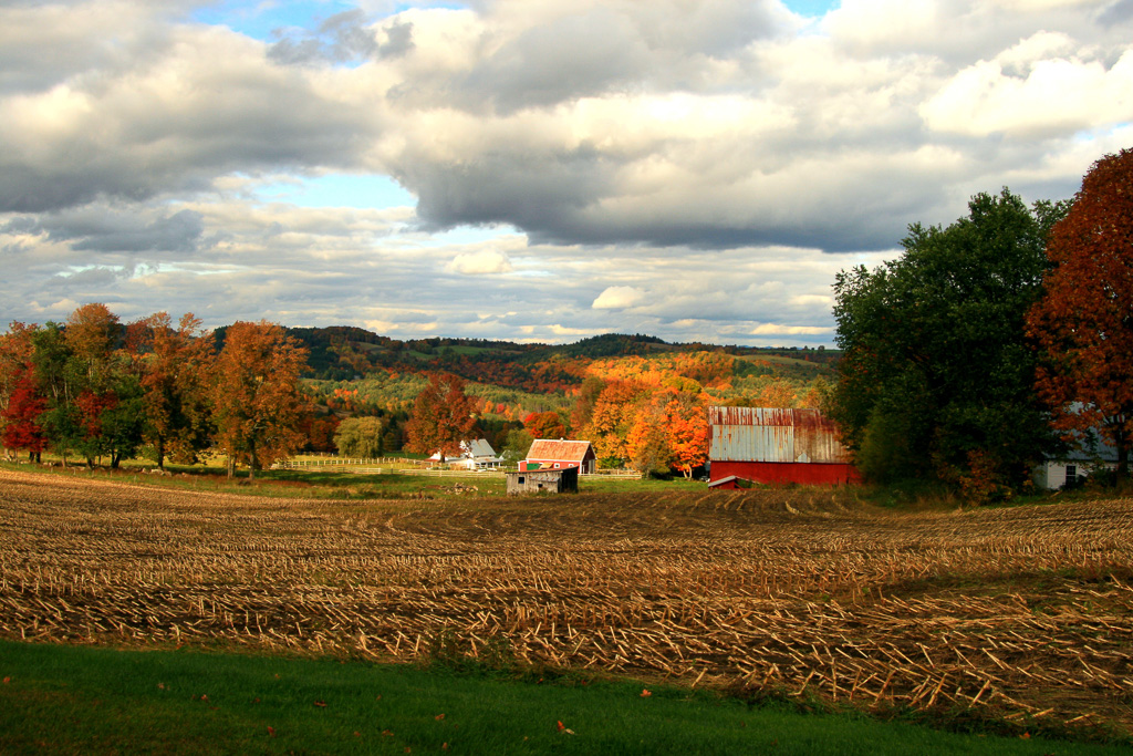 Peacham,-Vt--Barns.jpg