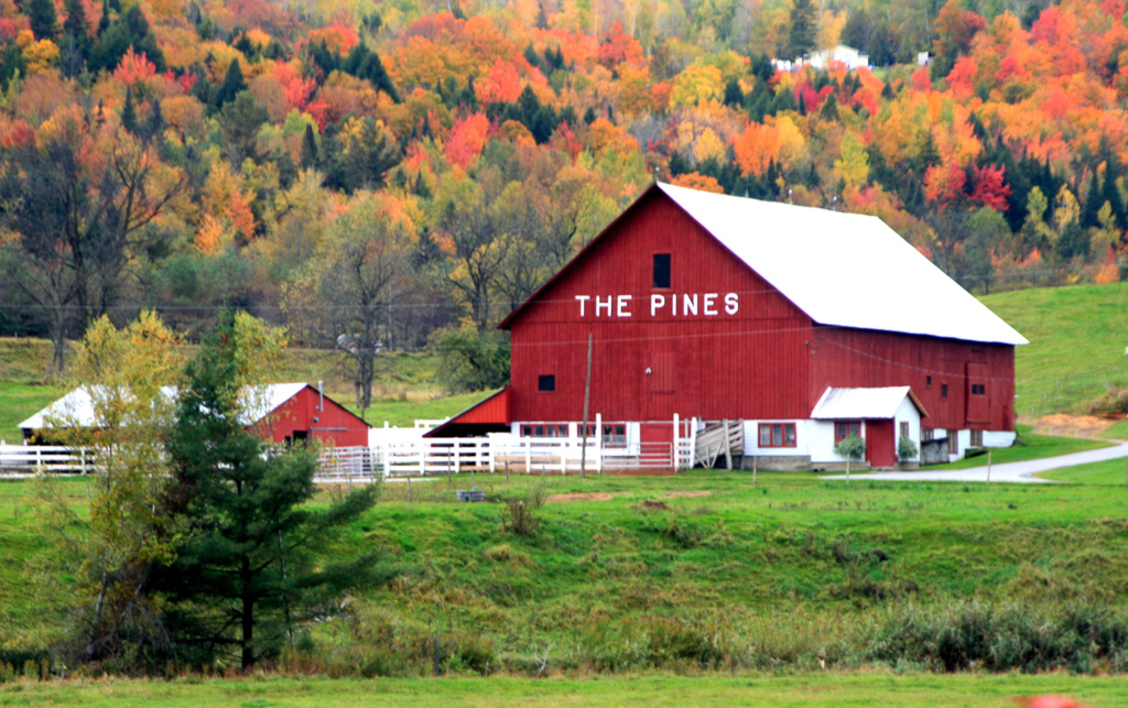 The-Pines-Barn.jpg