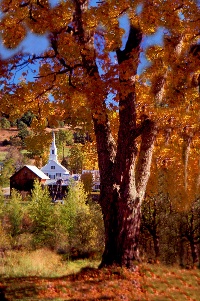 Waits-River-Thru-The-Trees.jpg