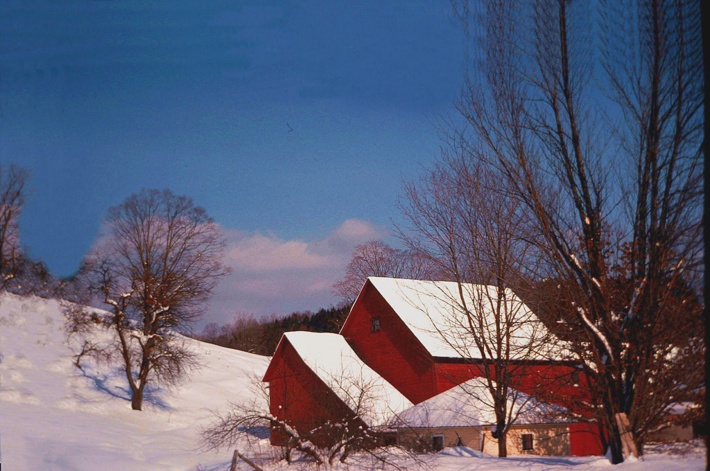 Winter-At-Sherbourne-FArm.jpg
