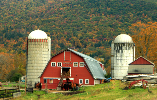 Battenkill-Farm.jpg