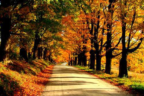 Maple-Hill-Road--2.jpg