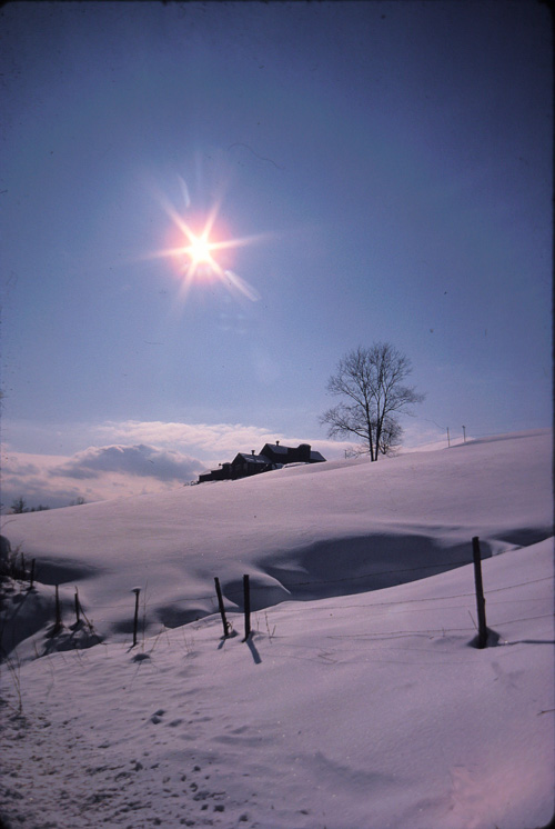 Vermont-Sunstar-at-Henderson-FArm.jpg