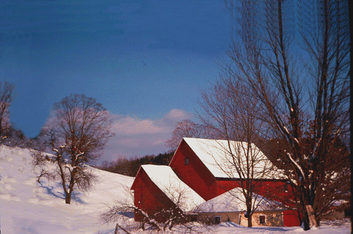 Winter-At-Sherbourne-FArm.jpg